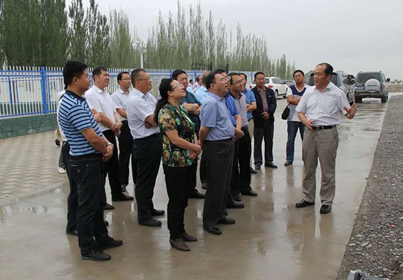 甘肃省水利厅厅长魏宝君到威廉希尔williamhill节水实验的肃州区丰乐灌区二坝高效节水浇灌项目现场调研 - 威廉希尔williamhill新闻 - 新闻中心 - nbsp,项目,节水,高效,肃州区,实验,节水浇灌,二坝,灌区