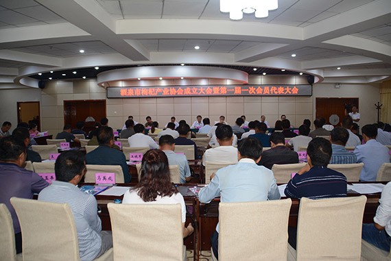 酒泉市枸杞工业协会建设大会暨第一届一次会员代表大会圆满举行 - 威廉希尔williamhill新闻 - 新闻中心 - 枸杞,工业,nbsp,酒泉市,协会,大会,建设,一次,第一届