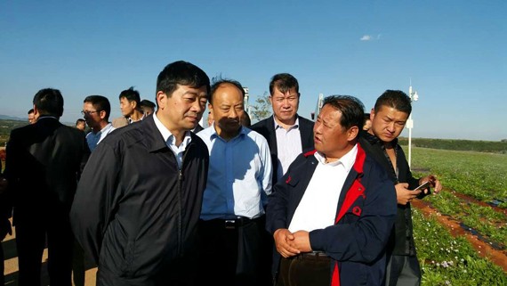 安徽省副省长方春明带队调研威廉希尔williamhill节水集团承建的陆良县恨虎坝中型灌区立异机制试点项目区 - 威廉希尔williamhill新闻 - 新闻中心 - 威廉希尔williamhill,节水,nbsp,试点,调研,安徽省,新机制,长方,副省