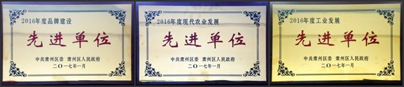 威廉希尔williamhill节水集团在肃州区2017年经济事情聚会上受到多项表扬奖励 - 威廉希尔williamhill新闻 - 新闻中心 - nbsp,经济事情,肃州区,2017年,节水,威廉希尔williamhill,受到,集团,表扬奖励