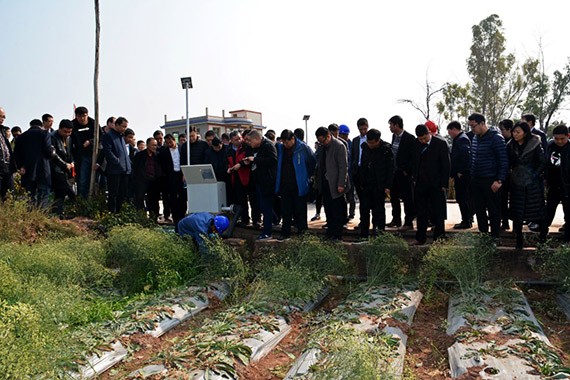 砥砺奋进| 威廉希尔williamhill节水集团多彩云南行项目现场考察学习活动圆满竣事 - 威廉希尔williamhill新闻 - 新闻中心 - nbsp,项目,威廉希尔williamhill,节水,宾川县,万亩,现场,机制,高效