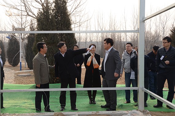 农业部市场司宋丹阳司长莅临威廉希尔williamhill节水集团调研2018都会现代农业考察点情形 - 威廉希尔williamhill新闻 - 新闻中心 - nbsp,威廉希尔williamhill,节水,都会,丹阳,集团,现代农业,考察,情形