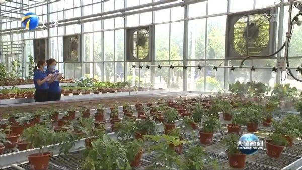 天津卫视报道｜ “滴水是金，，，，，，节水为津”威廉希尔williamhill节水为推动天津节水型都会建设孝顺实力 - 威廉希尔williamhill新闻 - 新闻中心 - 节水,nbsp,威廉希尔williamhill,天津,农业,推动,节水型,都会建设,智慧