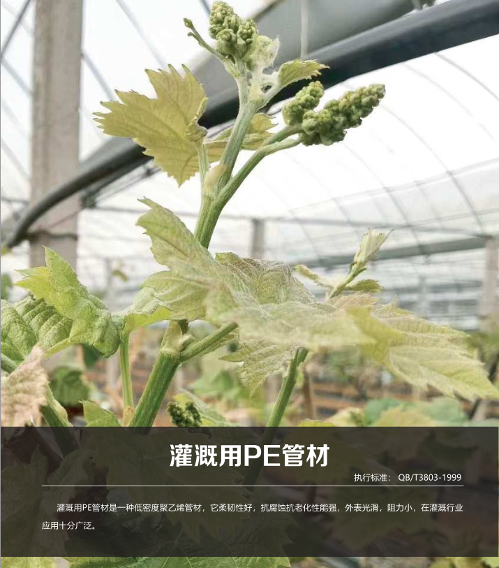 浇灌用PE管材 - 智能制造 - 解决方案 - 