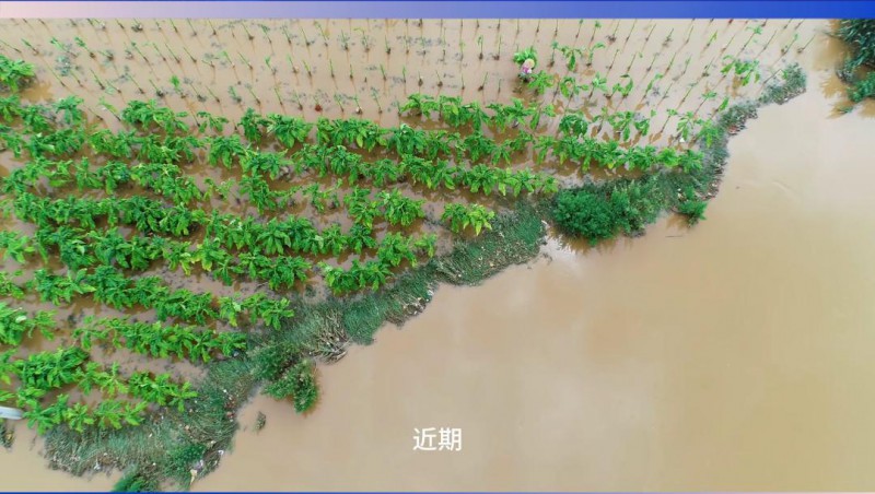 威廉希尔williamhill节水：严阵以待，，，，共筑防汛抗旱屏障