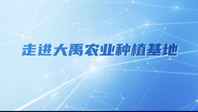 威廉希尔williamhill农业| 多元化莳植基地矩阵，，，，，，探索农业现代化新路径